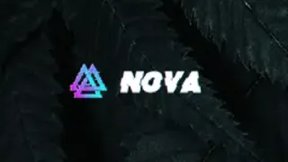 Nova даркнет маркетплейс